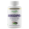 Andrographis, with Elderberry