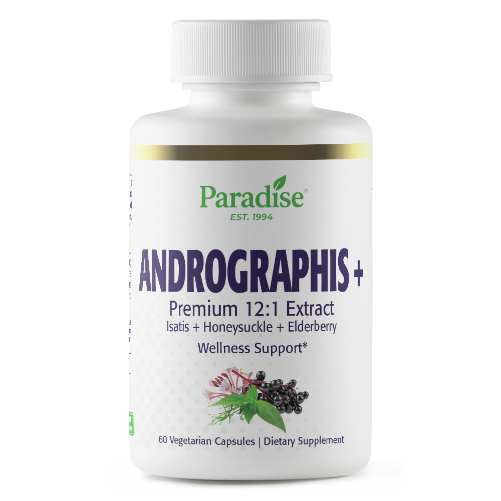 Andrographis, with Elderberry