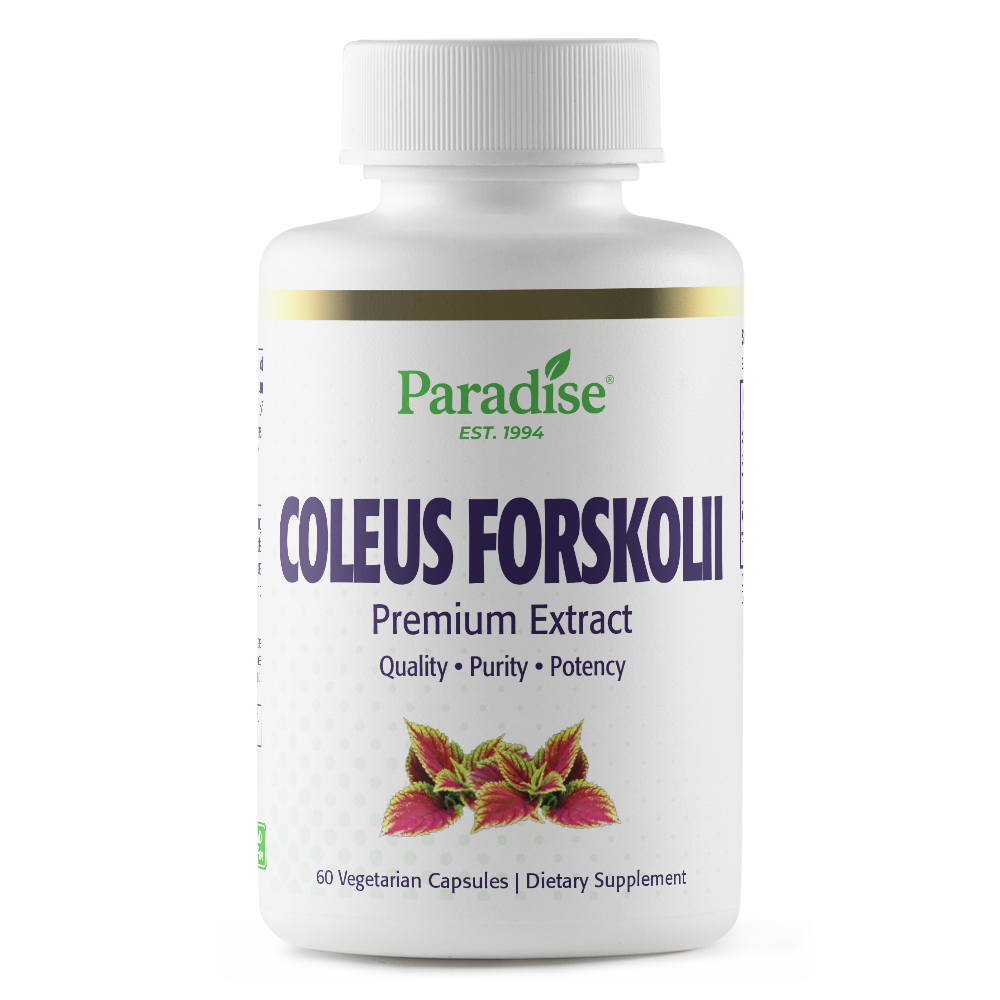 Coleus Forskolii