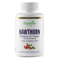 Hawthorn Berry