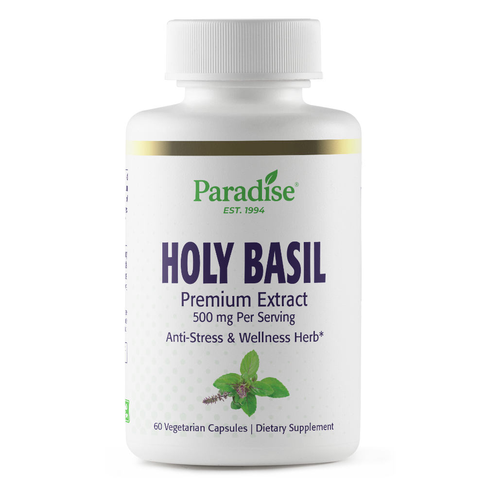 Holy Basil