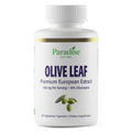 Olive Leaf