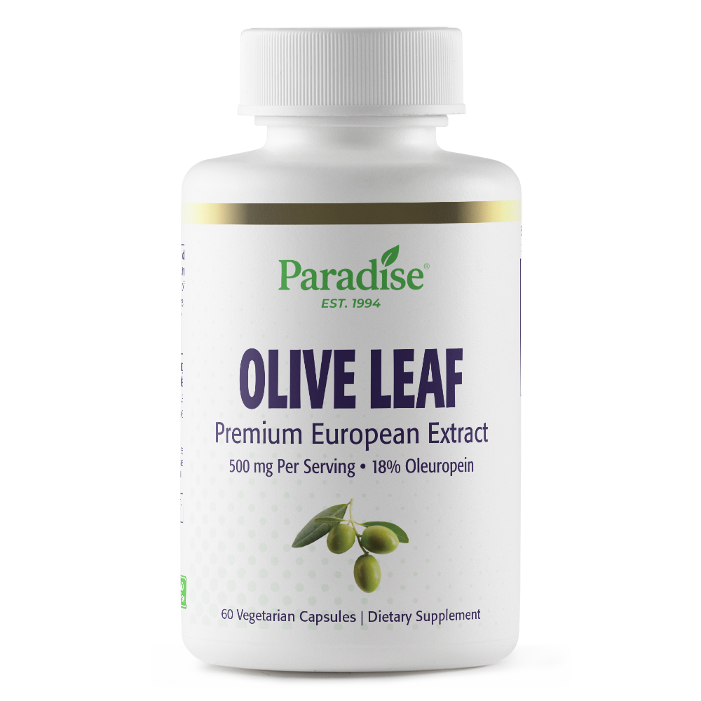 Olive Leaf