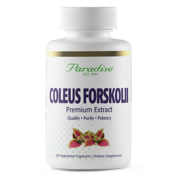 Coleus Forskolii 60ct