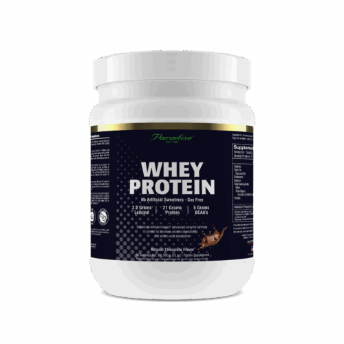 Whey Protein Chocolate 2024 Bottle Shot