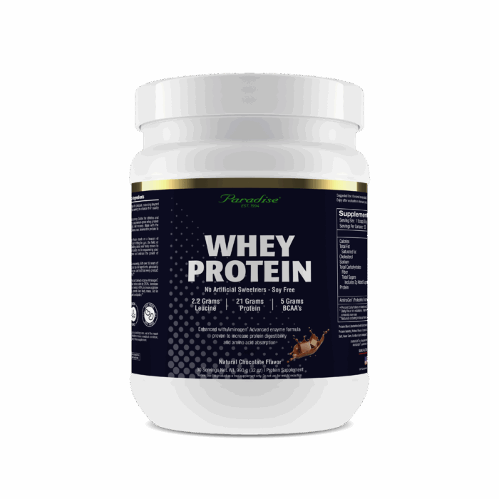 Whey Protein Chocolate 2024 Bottle Shot